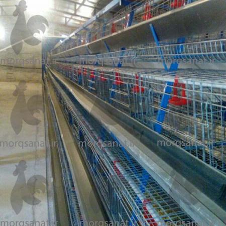فواید پرورش مرغ در قفس مرغ تخمگذار صنعتی : 